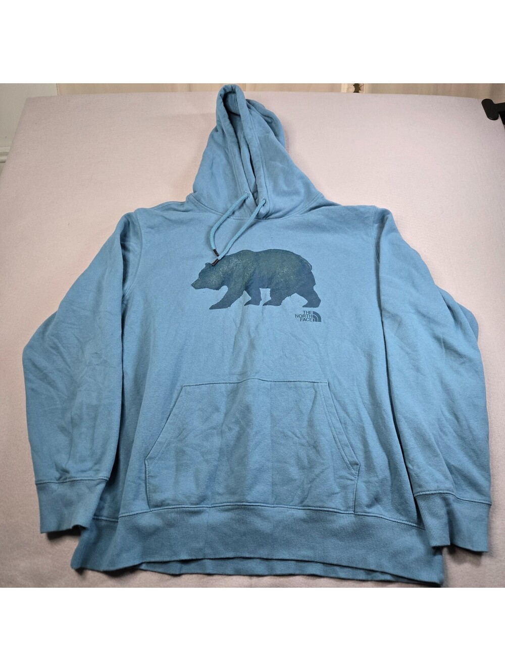 The North Face Hoodie Mens Sz XL Blue Bear Graphic Pullover Sweatshirt Jersey